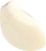 saveloy